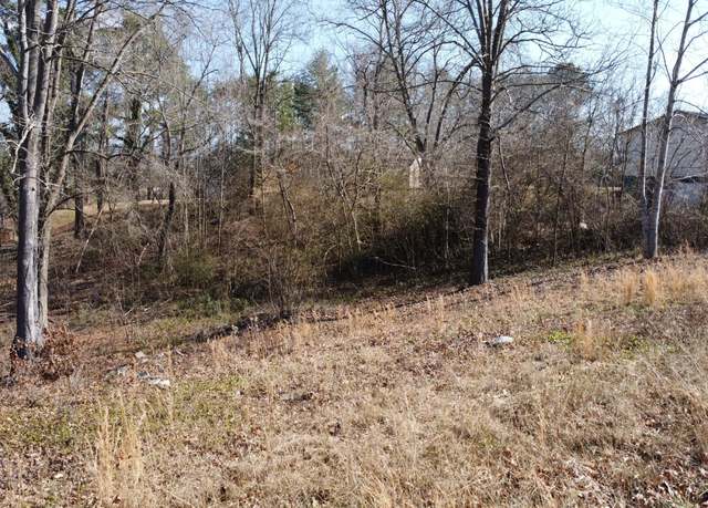 Property at 39 Idlewild Dr, White Pine, TN 37890