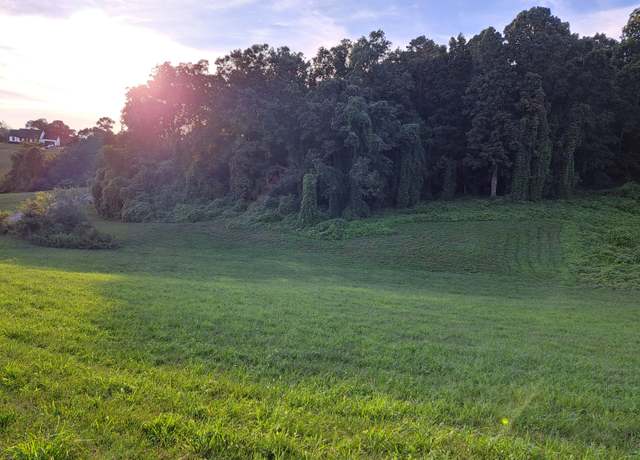 Property at Lot 56 Cow Poke Ln, Rutledge, TN 37861