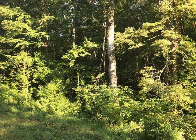 Property at 0 Brentwood & Murrell Rd & Grist, Morristown, TN 37814