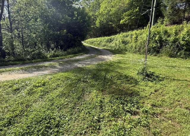Property at 4454 Wilhite Rd, Cosby, TN 37722