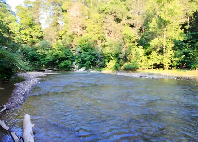 Property at 217 Saw Mill Ln, Duff, TN 37729