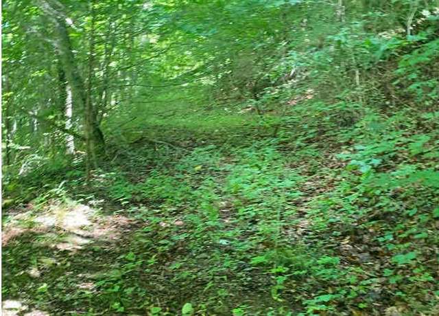 Property at 0 Fishers Creek Rd, Rogersville, TN 37857
