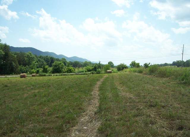 Property at 0 Alanthus Hill Rd, Tazewell, TN 37879