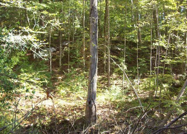 Property at 0 Beech St, Sneedville, TN 37869