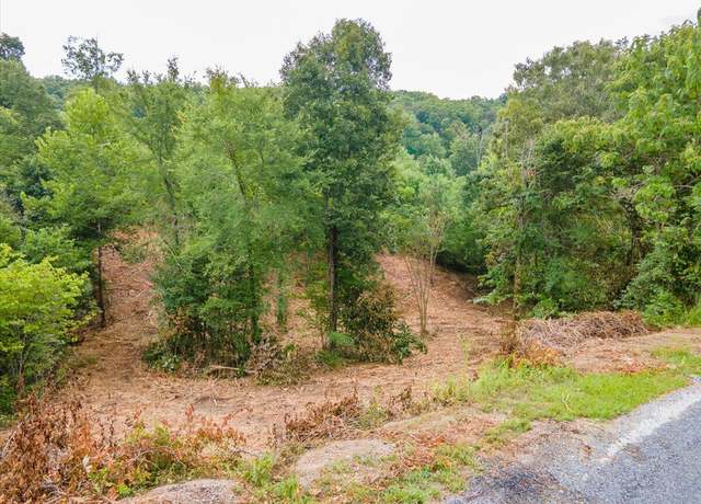 Property at Lot 102 Stone Bridge Dr Rd, Dandridge, TN 37725