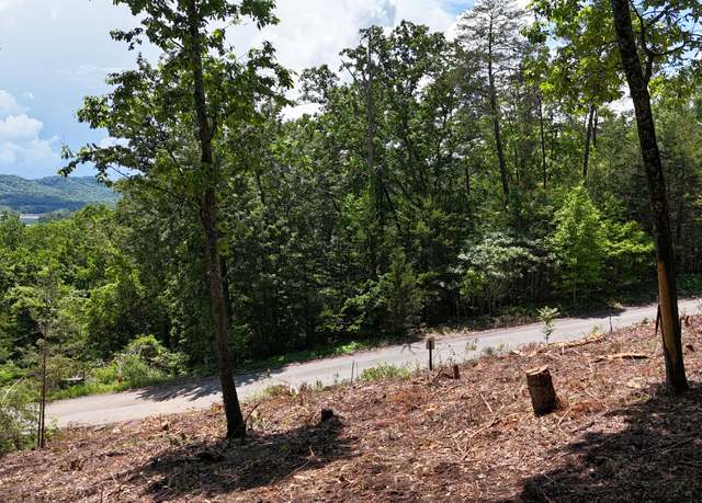 Property at Lot 42 Bayside Blvd, Bean Station, TN 37708