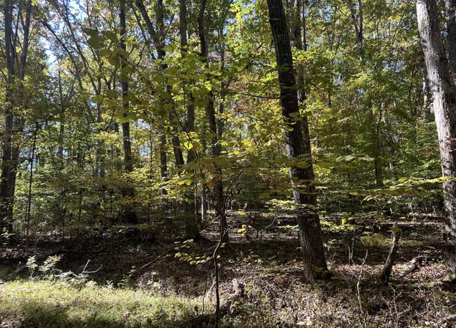 Property at 00 Lot 1215 Iron Gate Dr, Baneberry, TN 37890