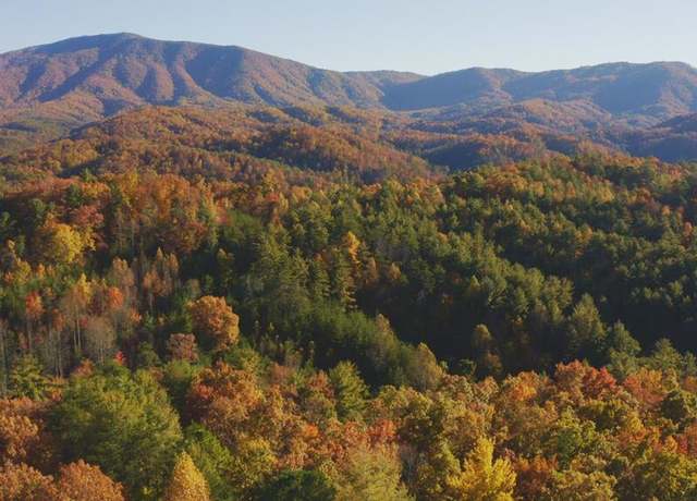 Property at 410 Seay Hollow Road Rd, Del Rio, TN 37727