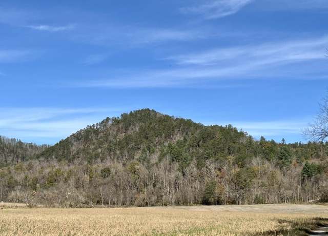 Property at 2720 E Hwy 25-70, Del Rio, TN 37727