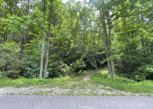 Property at TBD Black Mtn Rd, Hartford, TN 37753