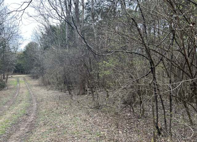 Property at 00 Skyline Pl W, Baneberry, TN 37890