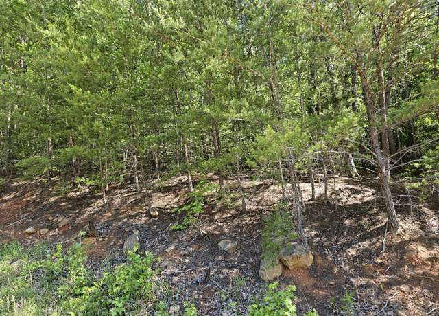 Property at Lot 7 Blackfeet Way, Del Rio, TN 37727