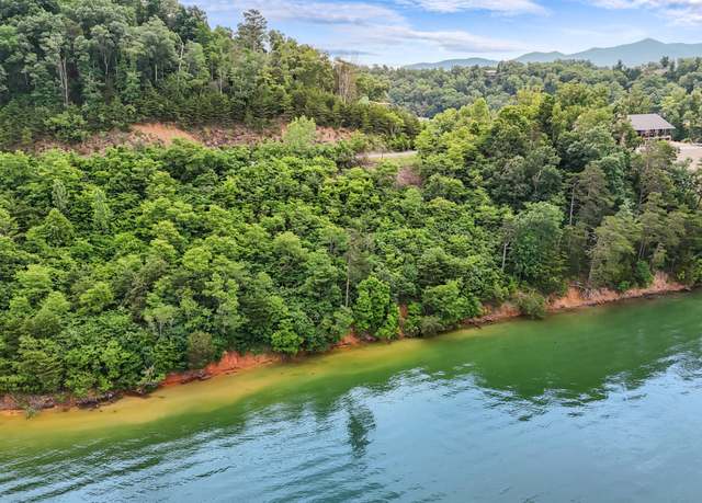 Property at Lot 65 Stone Bridge Dr, Dandridge, TN 37725