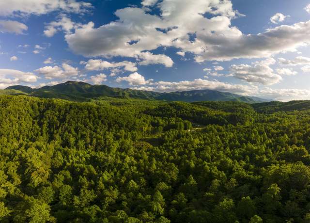Property at 3963 Off Lindsey Gap Rd, Hartford, TN 37753