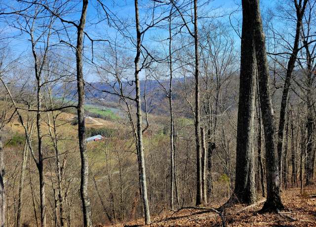 Property at TBD Tazewell Hwy, Sneedville, TN 37869