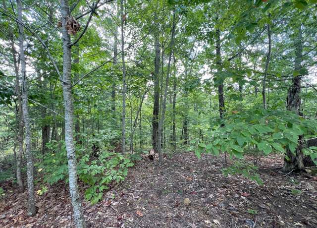 Property at Lot 14 Bayside Blvd, Bean Station, TN 37708