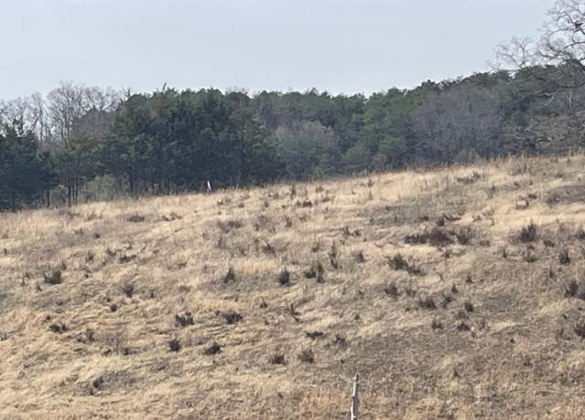Property at Lot 3 Wolfe Branch Rd S, Bulls Gap, TN 37711