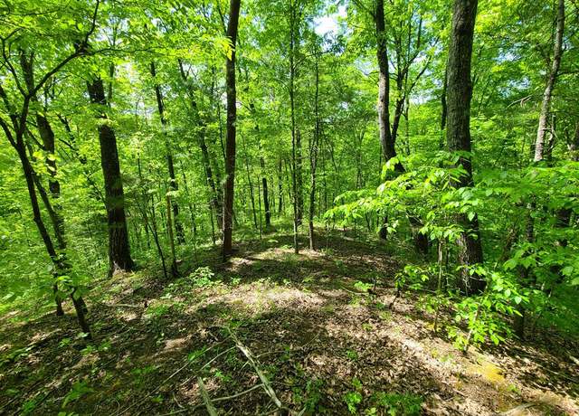 Property at Trentham Holw, Parrottsville, TN 37843