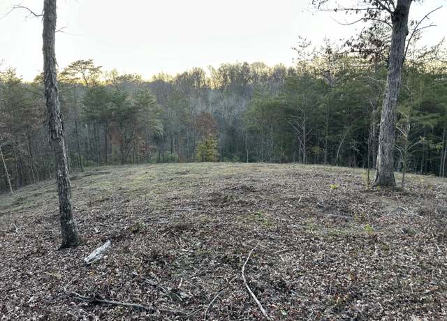 Property at LOT 1 Dandelion Dr, Newport, TN 37821