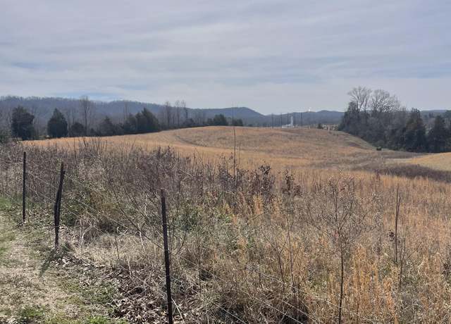 Property at Lot 10 Highway 66, Bulls Gap, TN 37711