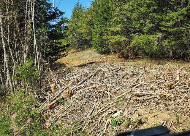 Property at ---- Busler Rd, Bybee, TN 37713