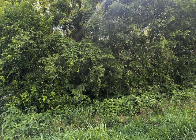 Property at 349 Hyatt Ln, Whitesburg, TN 37891