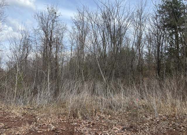 Property at 0 Bluets Rd, Newport, TN 37821