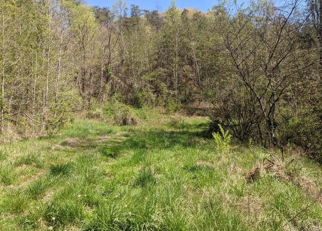 Property at Bucklick Ln, Tazewell, TN 37879