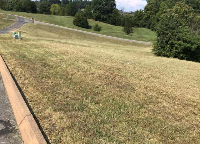 Property at Lot 41 Shiloh Springs Rd, Rutledge, TN 37861