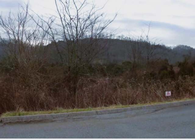 Property at Lot 206 Wedge Way, Tazewell, TN 37879