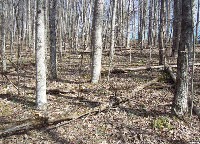 Property at 0 Patsy Rd, Sneedville, TN 37869