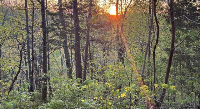 Photo of 1581 Romary Rd, Dandridge, TN 37725