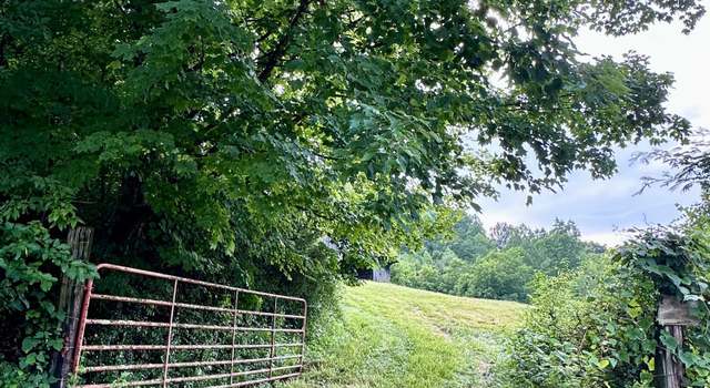 Photo of 3647 Kenyon, Parrottsville, TN 37843