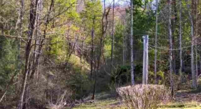 Photo of 966 John Creek Rd, Del Rio, TN 37727