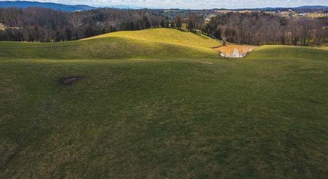 Photo of 0 Andrew Johnson, Bulls Gap, TN 37711