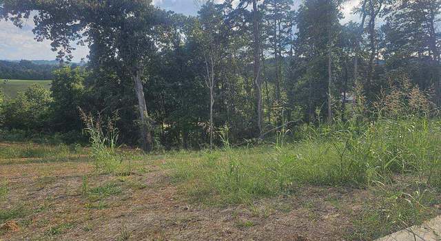 Photo of Lot 290 Inlet Cv, Morristown, TN 37814