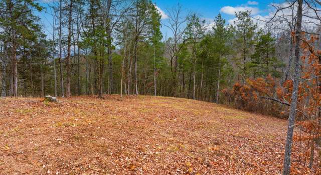 Photo of 1556 Hollow Springs Rd Way, Baneberry, TN 37890