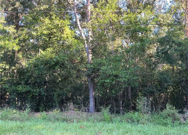 Property at 883 W Keller St, Hernando, FL 34442