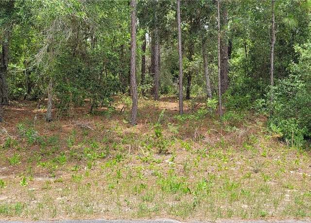 Property at 9169 N Saponaria Dr, Citrus Springs, FL 34433