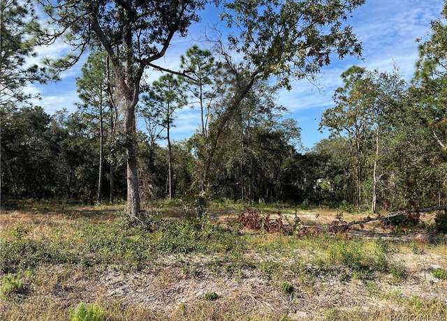 Property at 1604 S Rock Crusher Rd, Homosassa, FL 34448