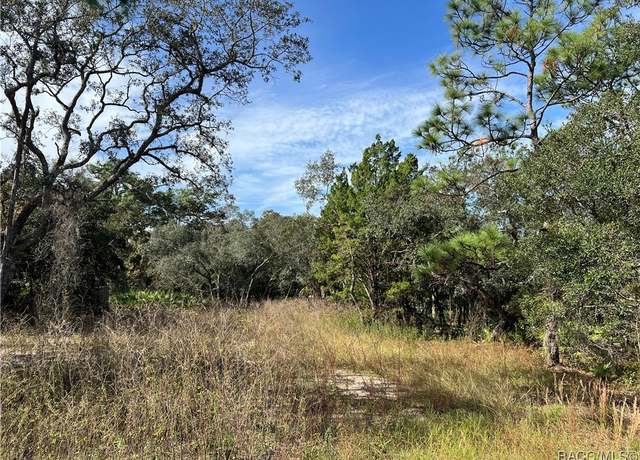 Property at 1680 S Rock Crusher Rd, Homosassa, FL 34448