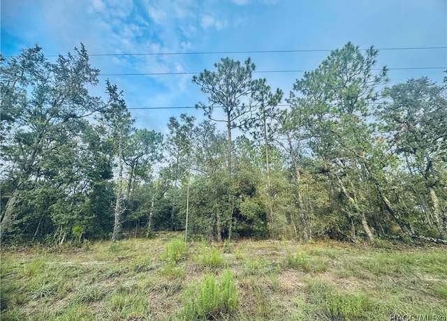 Property at TBD SE 136th Ter, Dunnellon, FL 34431