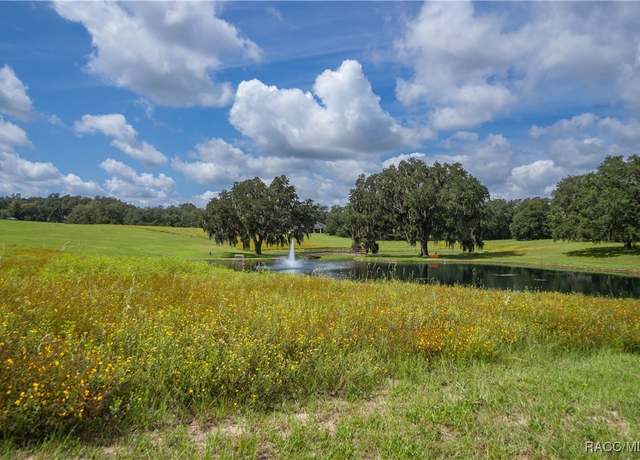 Property at 375 N Lake Shenandoah Loop, Inverness, FL 34453