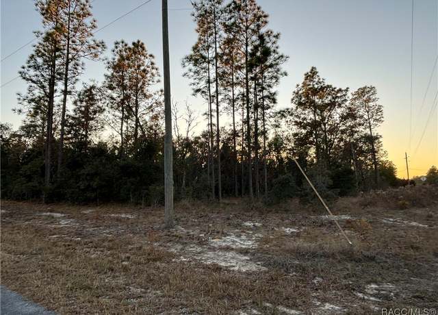 Property at TBD SW Sea Cliff Ave, Dunnellon, FL 34431