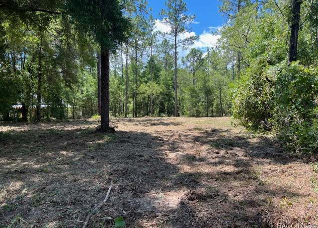 Property at Lot 51 SW 57th Pl, Dunnellon, FL 34432