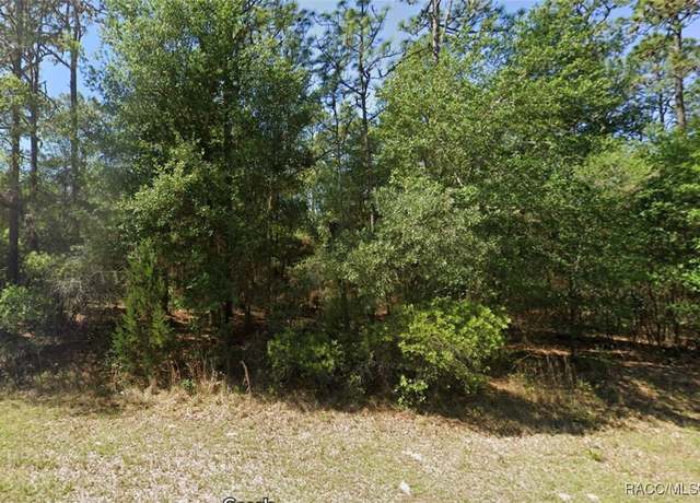 Property at Lot 3 SW 102nd Street Rd, Dunnellon, FL 34481