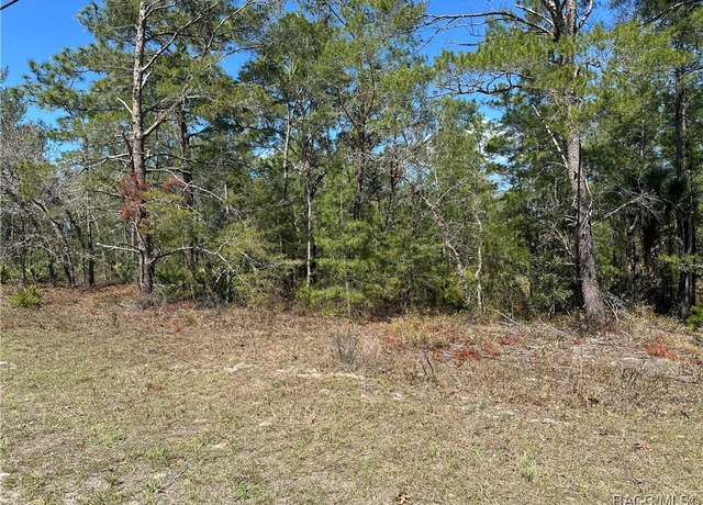 Property at 5557 W Oak Park Blvd, Homosassa, FL 34446