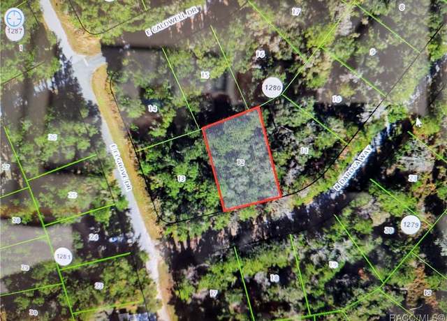 Property at 9864 N Daroca Way, Dunnellon, FL 34434