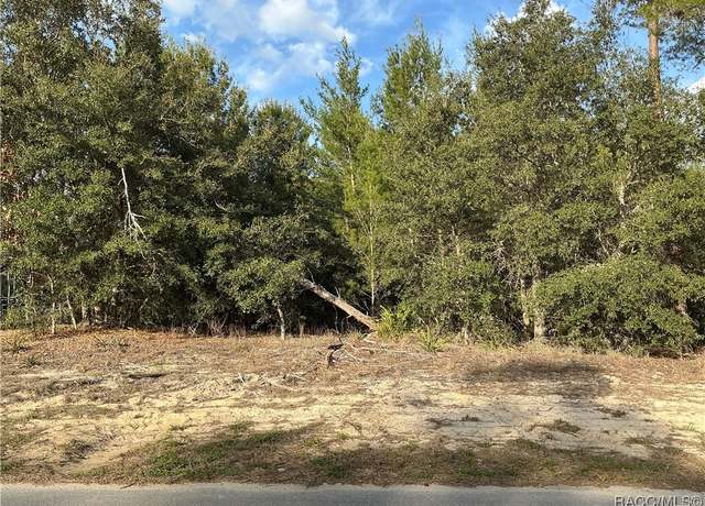 Property at 51 Grass St, Homosassa, FL 34446