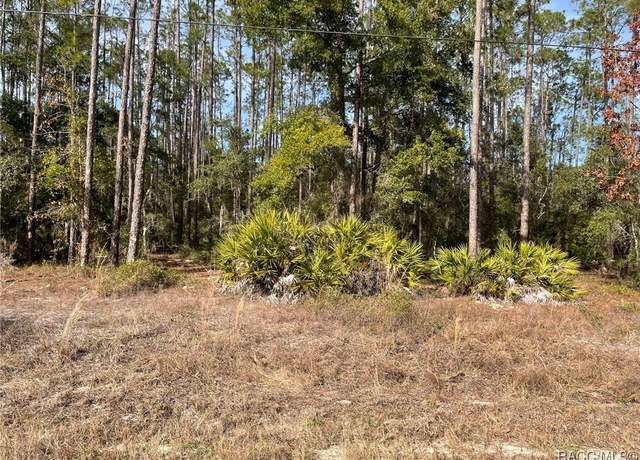 Property at LOT 23 SW Tiger Lake Blvd W, Dunnellon, FL 34431